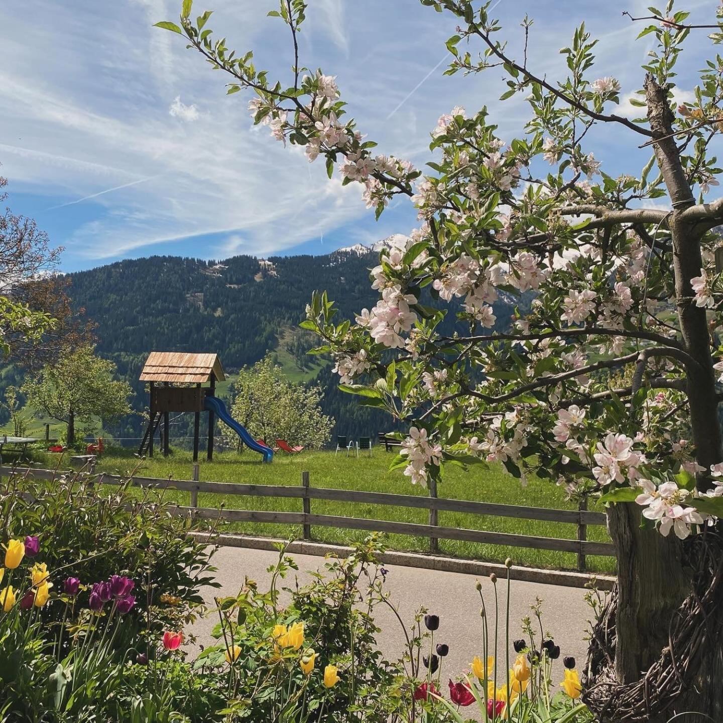Hotel Alpenland Moso Eksteriør billede